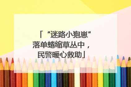 “迷路小狍崽”落单蜷缩草丛中，民警暖心救助