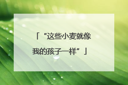 “这些小麦就像我的孩子一样”