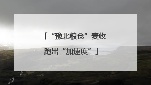 “豫北粮仓”麦收跑出“加速度”