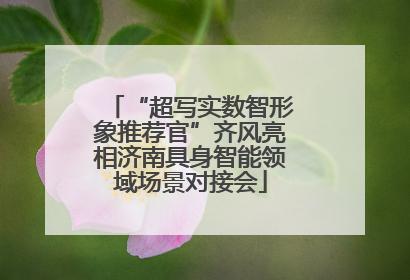 “超写实数智形象推荐官”齐风亮相济南具身智能领域场景对接会