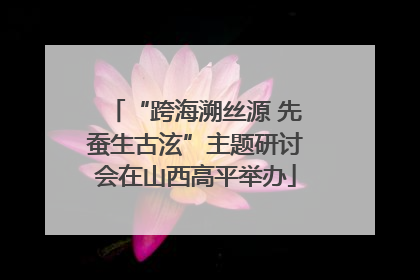 “跨海溯丝源 先蚕生古泫”主题研讨会在山西高平举办