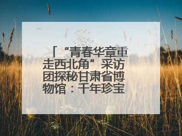 “青春华章重走西北角”采访团探秘甘肃省博物馆：千年珍宝诉说丝路辉煌