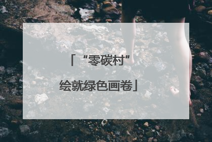 “零碳村” 绘就绿色画卷