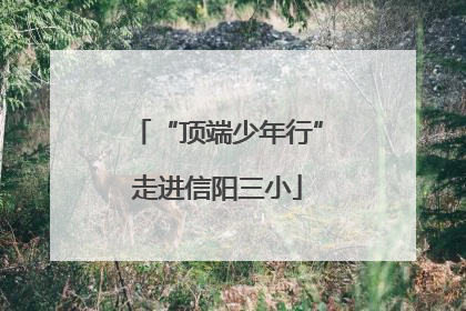 “顶端少年行”走进信阳三小