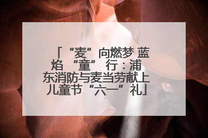 “麦”向燃梦 蓝焰 “童” 行：浦东消防与麦当劳献上儿童节“六一”礼