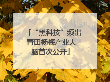 “黑科技”频出 青田杨梅产业大脑首次公开