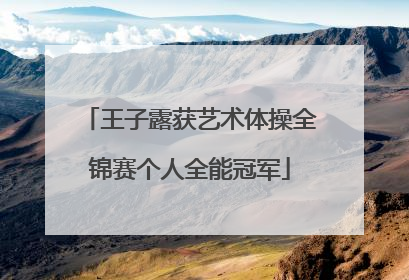 王子露获艺术体操全锦赛个人全能冠军