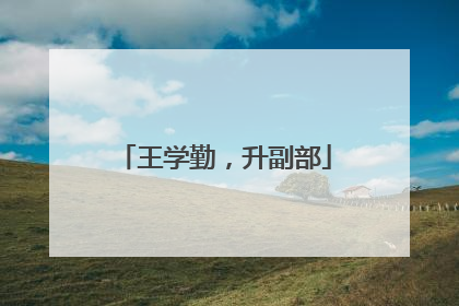 王学勤，升副部