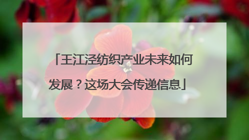 王江泾纺织产业未来如何发展？这场大会传递信息