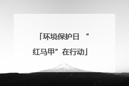 环境保护日 “红马甲”在行动