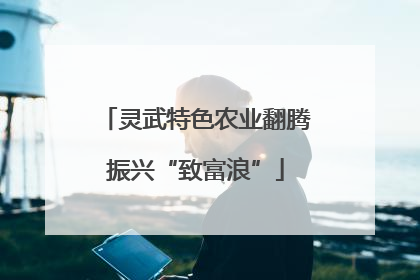灵武特色农业翻腾振兴“致富浪”