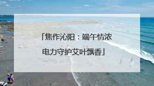 焦作沁阳：端午情浓 电力守护艾叶飘香