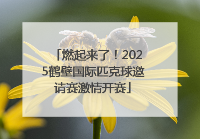 燃起来了！2025鹤壁国际匹克球邀请赛激情开赛