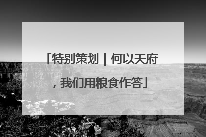 特别策划｜何以天府，我们用粮食作答