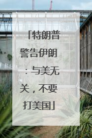 特朗普警告伊朗：与美无关，不要打美国