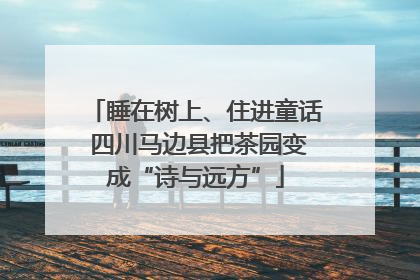 睡在树上、住进童话 四川马边县把茶园变成“诗与远方”