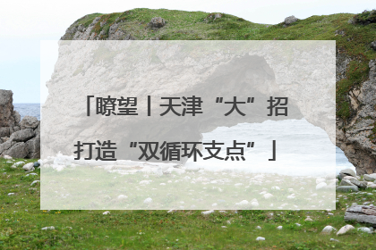 瞭望丨天津“大”招打造“双循环支点”