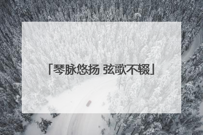 琴脉悠扬 弦歌不辍