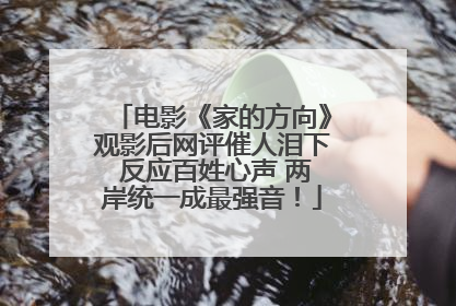 电影《家的方向》观影后网评催人泪下 反应百姓心声 两岸统一成最强音！