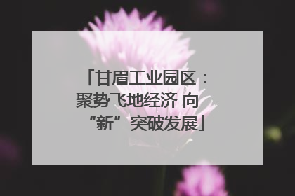 甘眉工业园区：聚势飞地经济 向“新”突破发展