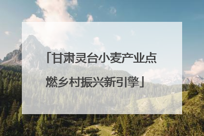 甘肃灵台小麦产业点燃乡村振兴新引擎