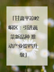 甘肃平凉崆峒区：引进蔬菜新品种 推动产业提档升级
