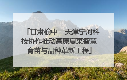 甘肃榆中—天津宁河科技协作推动高原夏菜智慧育苗与品种革新工程
