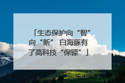 生态保护向“智”向“新” 白海豚有了高科技“保镖”