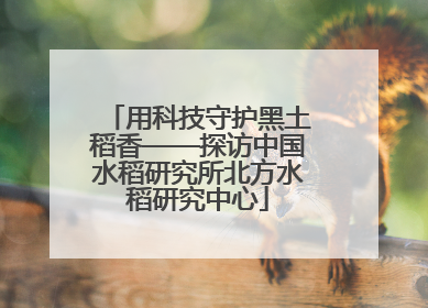 用科技守护黑土稻香——探访中国水稻研究所北方水稻研究中心