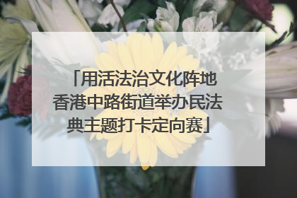 用活法治文化阵地 香港中路街道举办民法典主题打卡定向赛