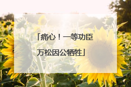 痛心！一等功臣万松因公牺牲