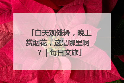 白天观傩舞，晚上赏烟花，这是哪里啊？｜每日文旅