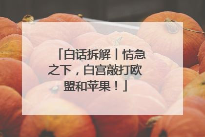 白话拆解丨情急之下，白宫敲打欧盟和苹果！