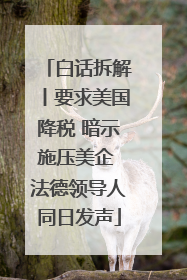 白话拆解丨要求美国降税 暗示施压美企 法德领导人同日发声