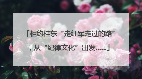 相约桂东“走红军走过的路”，从“纪律文化”出发……