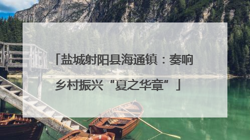 盐城射阳县海通镇：奏响乡村振兴“夏之华章”