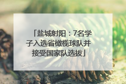 盐城射阳：7名学子入选省橄榄球队并接受国家队选拔