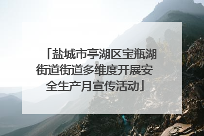 盐城市亭湖区宝瓶湖街道街道多维度开展安全生产月宣传活动