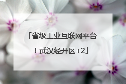 省级工业互联网平台！武汉经开区+2