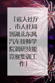 省人社厅、市人社局到湖北东风汽车技师学院调研技能竞赛集训工作