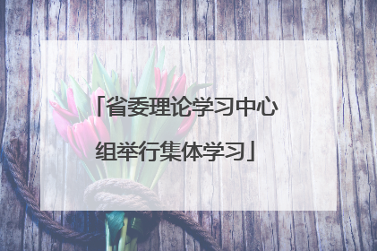 省委理论学习中心组举行集体学习