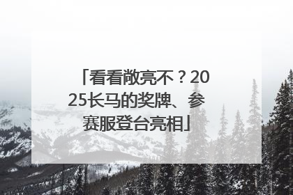 看看敞亮不？2025长马的奖牌、参赛服登台亮相