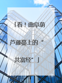 看！曲阜葫芦藤蔓上的“共富经”