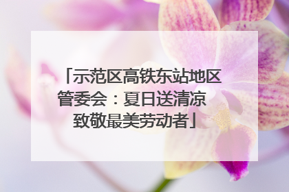 示范区高铁东站地区管委会：夏日送清凉 致敬最美劳动者