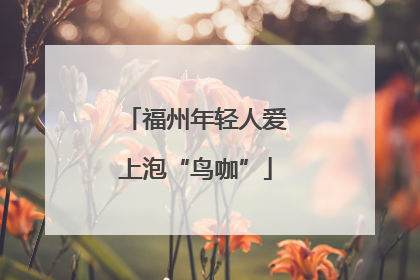 福州年轻人爱上泡“鸟咖”