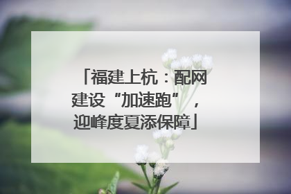 福建上杭：配网建设“加速跑”，迎峰度夏添保障