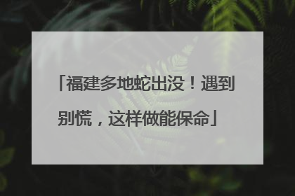 福建多地蛇出没！遇到别慌，这样做能保命
