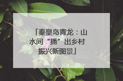秦皇岛青龙：山水间“播”出乡村振兴新图景
