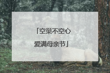 空巢不空心 爱满母亲节