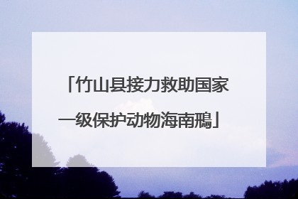 竹山县接力救助国家一级保护动物海南鳽